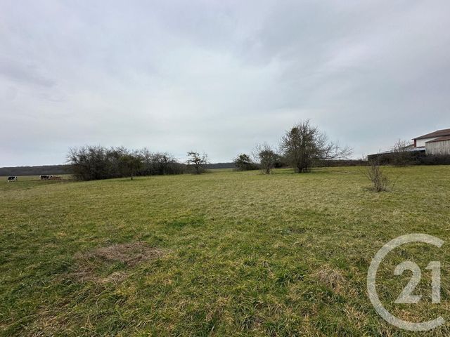 Maison à vendre - 5 pièces - 144,38 m2 - Etais La Sauvin - 89 - BOURGOGNE