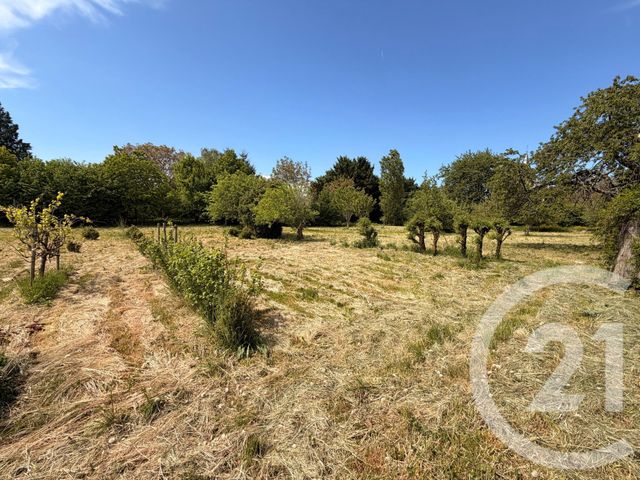 Maison &agrave; vendre - 6 pi&egrave;ces - 101 m2 - Arzembouy - 58 - BOURGOGNE