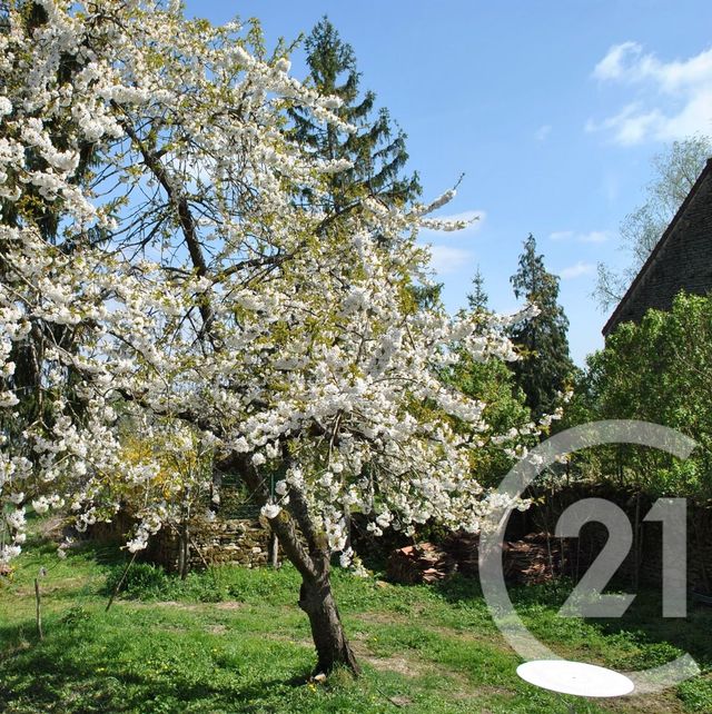 Maison &agrave; vendre - 4 pi&egrave;ces - 92,12 m2 - St Pierre Du Mont - 58 - BOURGOGNE
