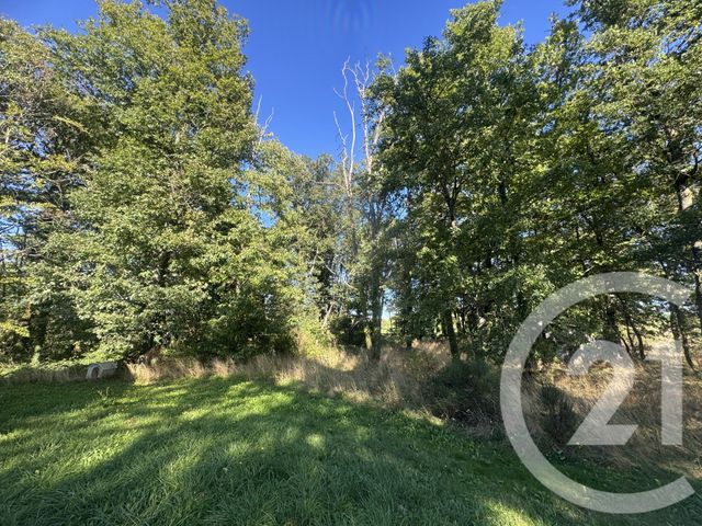 Maison à vendre - 7 pièces - 219 m2 - Etais La Sauvin - 89 - BOURGOGNE