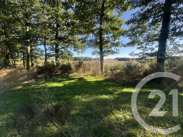 Maison à vendre - 7 pièces - 219 m2 - Etais La Sauvin - 89 - BOURGOGNE