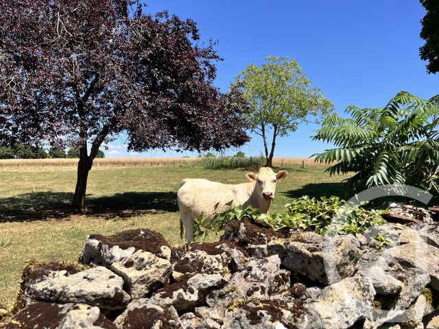 Maison &agrave; vendre - 6 pi&egrave;ces - 126,81 m2 - Champlemy - 58 - BOURGOGNE