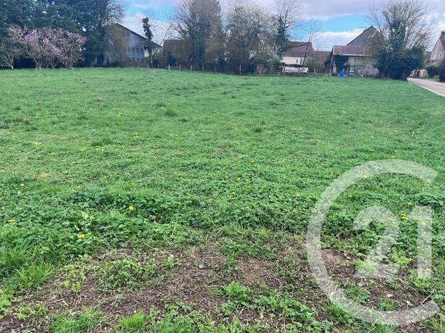 Terrain &agrave; vendre - 2260 m2 - Andryes - 89 - BOURGOGNE