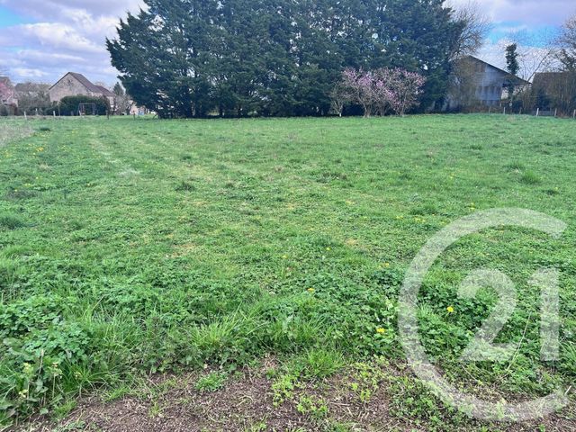 Terrain &agrave; vendre - 2260 m2 - Andryes - 89 - BOURGOGNE