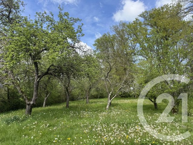 Maison &agrave; vendre - 3 pi&egrave;ces - 120,12 m2 - Courcelles - 58 - BOURGOGNE