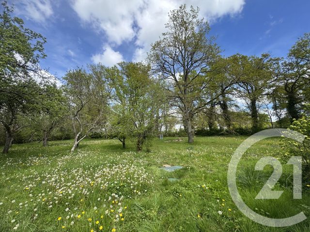 Maison &agrave; vendre - 3 pi&egrave;ces - 120,12 m2 - Courcelles - 58 - BOURGOGNE