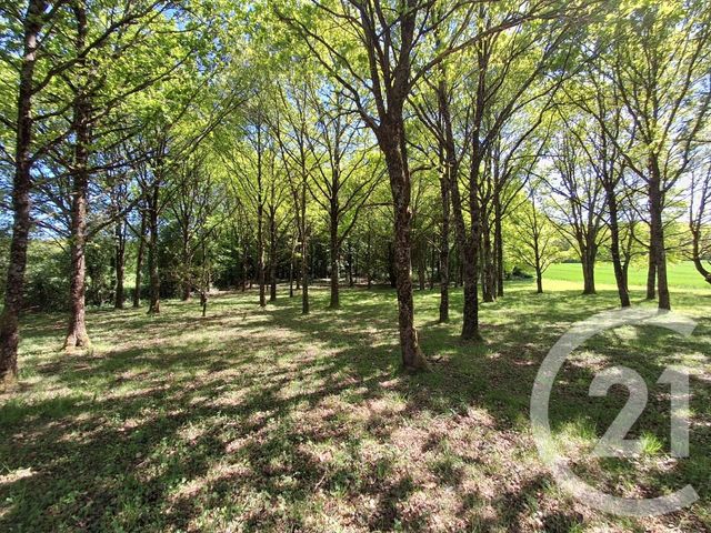 Maison &agrave; vendre - 7 pi&egrave;ces - 206,20 m2 - Etais La Sauvin - 89 - BOURGOGNE