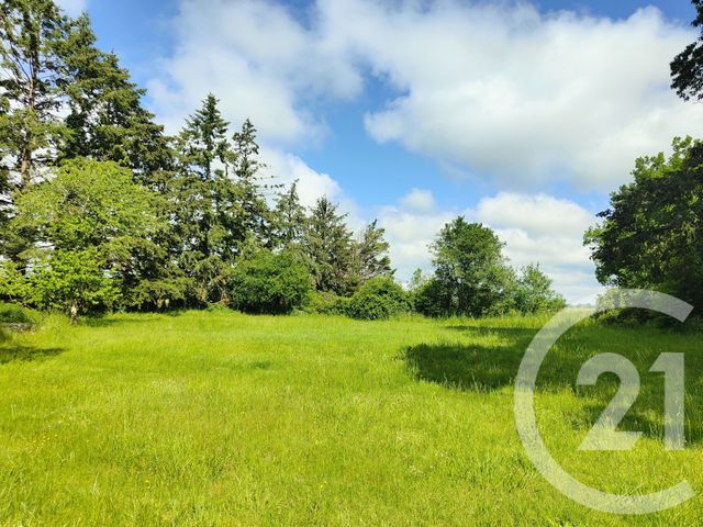 Maison &agrave; vendre - 7 pi&egrave;ces - 214,50 m2 - La Chapelle Montlinard - 18 - CENTRE