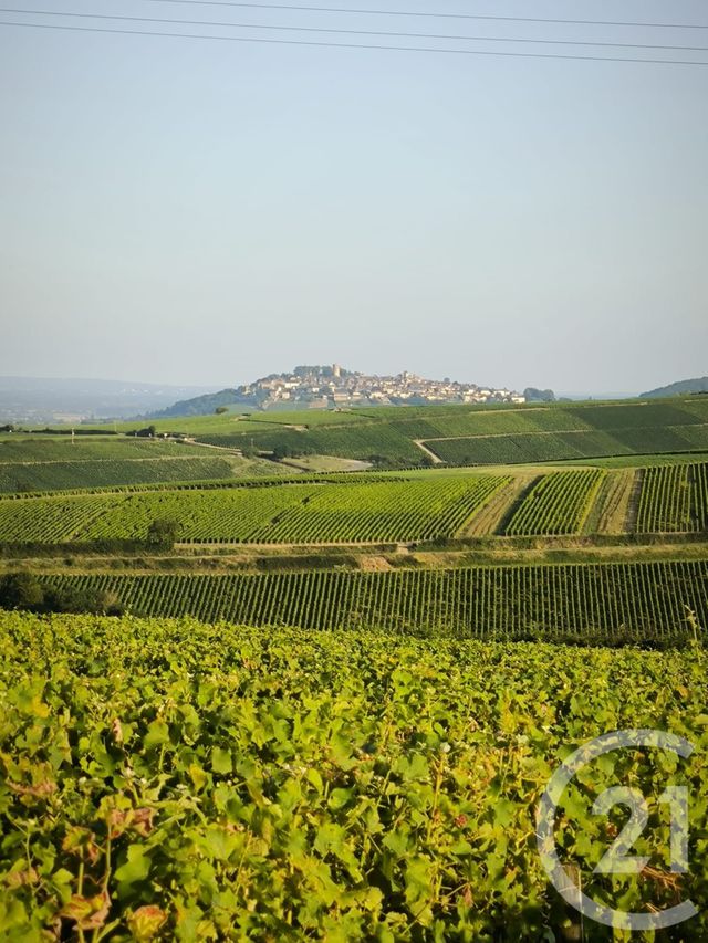 Maison à vendre - 9 pièces - 182 m2 - Sury En Vaux - 18 - CENTRE