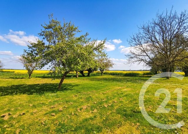 Maison &agrave; vendre - 8 pi&egrave;ces - 210 m2 - Donzy - 58 - BOURGOGNE