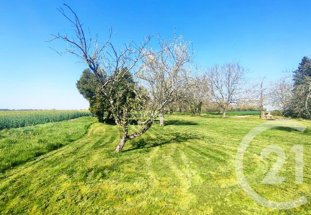 Maison &agrave; vendre - 8 pi&egrave;ces - 210 m2 - Donzy - 58 - BOURGOGNE