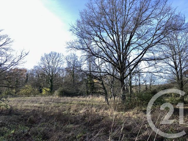 Maison &agrave; vendre - 3 pi&egrave;ces - 109 m2 - Savigny En Sancerre - 18 - CENTRE