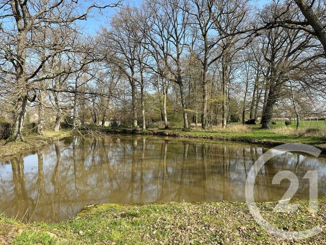 Maison &agrave; vendre - 11 pi&egrave;ces - 310 m2 - Cosne Cours Sur Loire - 58 - BOURGOGNE