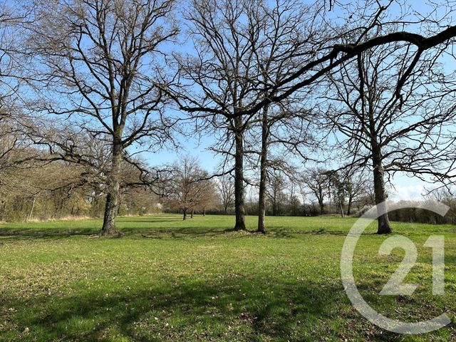 Maison &agrave; vendre - 11 pi&egrave;ces - 310 m2 - Cosne Cours Sur Loire - 58 - BOURGOGNE