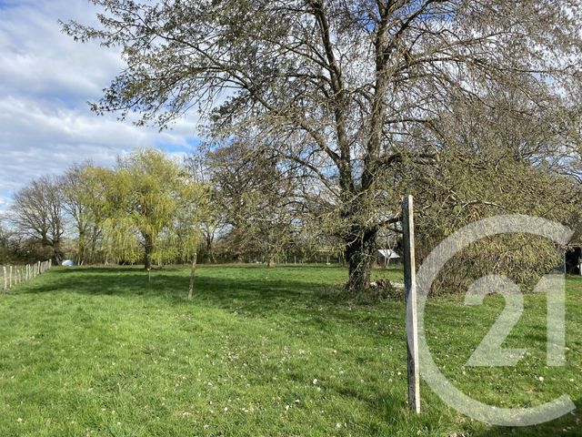 Maison &agrave; vendre - 8 pi&egrave;ces - 202 m2 - Bannay - 18 - CENTRE