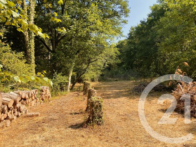 Maison &agrave; vendre - 4 pi&egrave;ces - 65 m2 - Arquian - 58 - BOURGOGNE