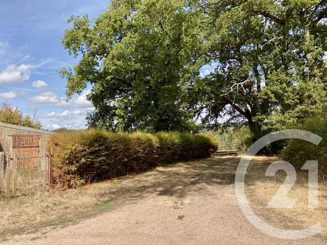 Maison &agrave; vendre - 6 pi&egrave;ces - 128 m2 - St Amand En Puisaye - 58 - BOURGOGNE